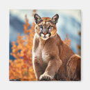 Buscar puma imanes Naturaleza