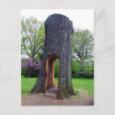 Buscar ecología postales Al aire libre