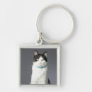 Buscar estudios collares Vertical