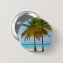 Buscar palmeras chapas Viajar