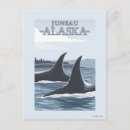Buscar orca postales Ballenas