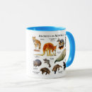 Buscar koala tazas Animales