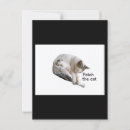 Buscar imágenes animales lindas postales Gatos