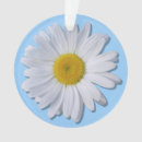 Buscar margaritas adornos Para ella