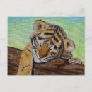 Buscar cachorro de tigre postales Tigres
