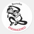 Buscar chimpancé pegatinas Animales salvajes