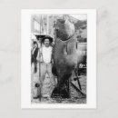 Buscar pescados fotografía Pescadores