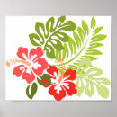 Buscar hawai posters Hibiscus