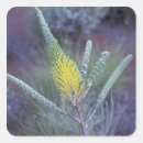 Buscar vida vegetal pegatinas Flora