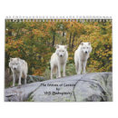 Buscar lobos calendarios Salvaje