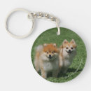 Buscar pomeranian llaveros Foto