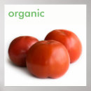 Buscar tomate maduro posters Fresco