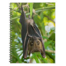 Buscar garras libretas Animal