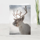Buscar del reno tarjetas Invierno