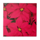 Buscar colores brillantes azulejos Flores