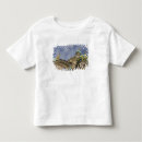 Buscar nevsky camisetas Ornado