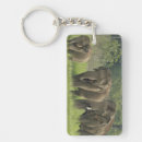 Buscar elefante indio llaveros Elephas maximus