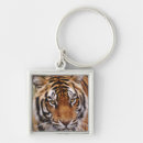Buscar tigre de bengala llaveros Grande