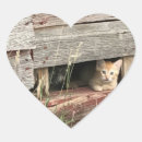 Buscar kitten corazon pegatinas Gatito