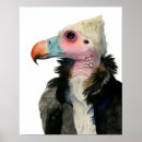 Buscar buceo posters Aves