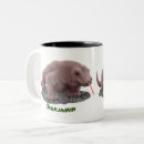 Buscar lagartija tazas General y unisex