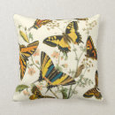 Buscar oruga cojines Naturaleza