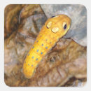 Buscar caterpillar etiquetas 4 º bicho