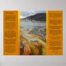 Buscar piscina posters General y unisex