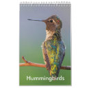Buscar colibríes calendarios Pájaros
