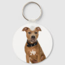 Buscar pozo llaveros Animal