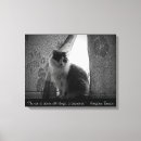 Buscar gatos lindos arte Para ellos