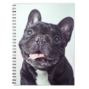 Buscar animales domésticos cuadernos Frenchias
