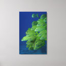 Buscar arbusto lienzos Vida silvestre