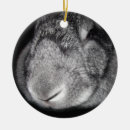 Buscar nariz adornos General y unisex