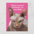 Buscar papel arrugado postales Divertido