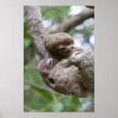 Buscar throated posters Wildlife
