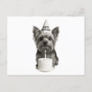 Buscar yorkshire terrier postales De amante de perros