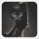 Buscar animales domésticos pegatinas Negro