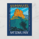 Buscar guadalupe postales El capitan