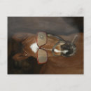 Buscar cigar postales Divertido