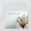Buscar plumeria postales Floral