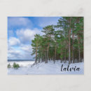 Buscar pino postales Invierno
