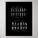 Buscar dentistas posters Dental