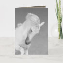 Buscar cabeza de caballo tarjetas 1 ª cabeza
