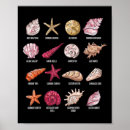 Buscar bombardeo posters Mar