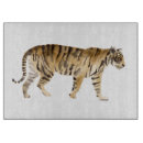 Buscar tigres utensilios cocina Boceto animal