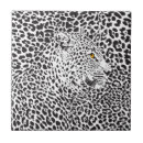 Buscar leopardo negro azulejos 9 º gata