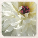 Buscar estambre Flor