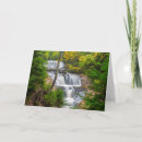 Buscar península superior tarjetas Bosque