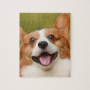 Buscar perros puzzles Para mascotas